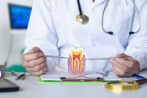 Best Urgent Care for Lost Fillings or Crowns in Queensland, MD
